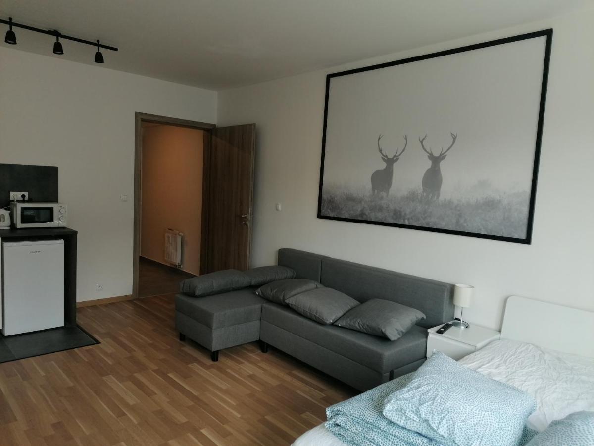 Brand New Studio Apartment #62 With Free Secure Parking In The Center Prague Luaran gambar